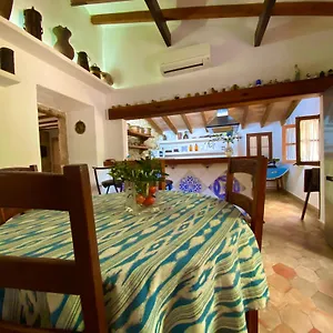 Puerto De Pollensa And Apartments, With Private Mountain Ideal For Runners, Trailers,near Approximately 5 Minutes Walking, Unique Experience In A Ullal Old Typical Mallorca House With Private Mountain And Near To The Beac Apartment Port de Pollença